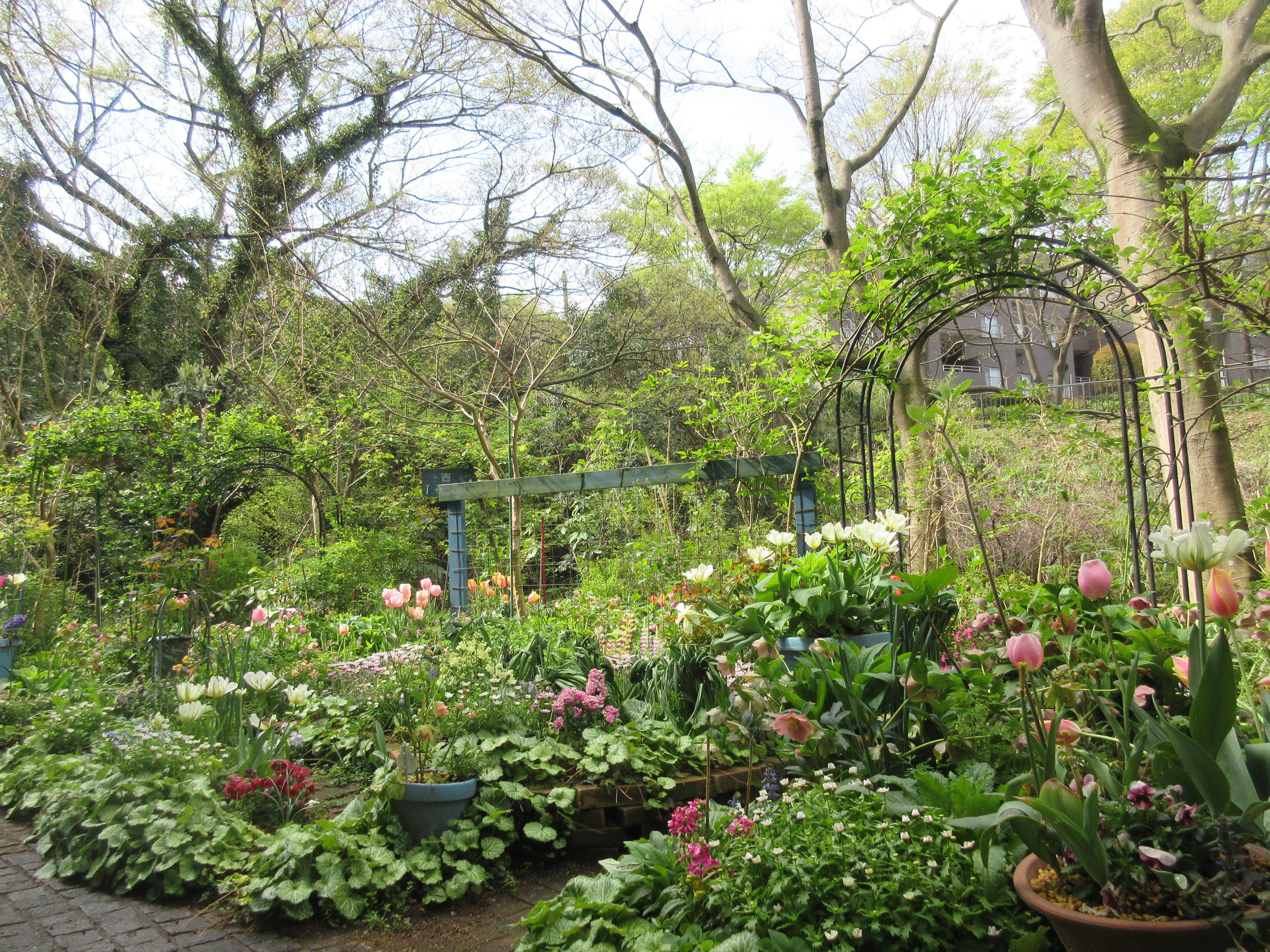 ���ىԒd���Ő������}���Ă��܂�