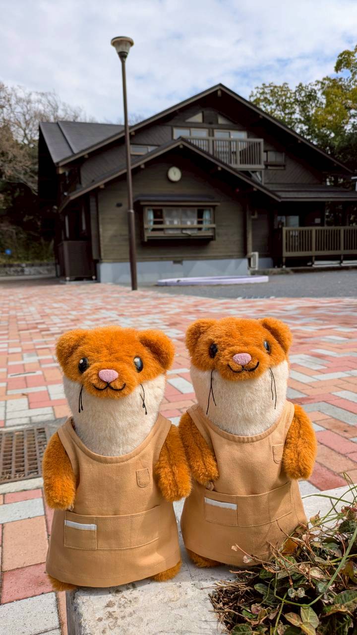 �^�b�`�[�N����G�v�����p