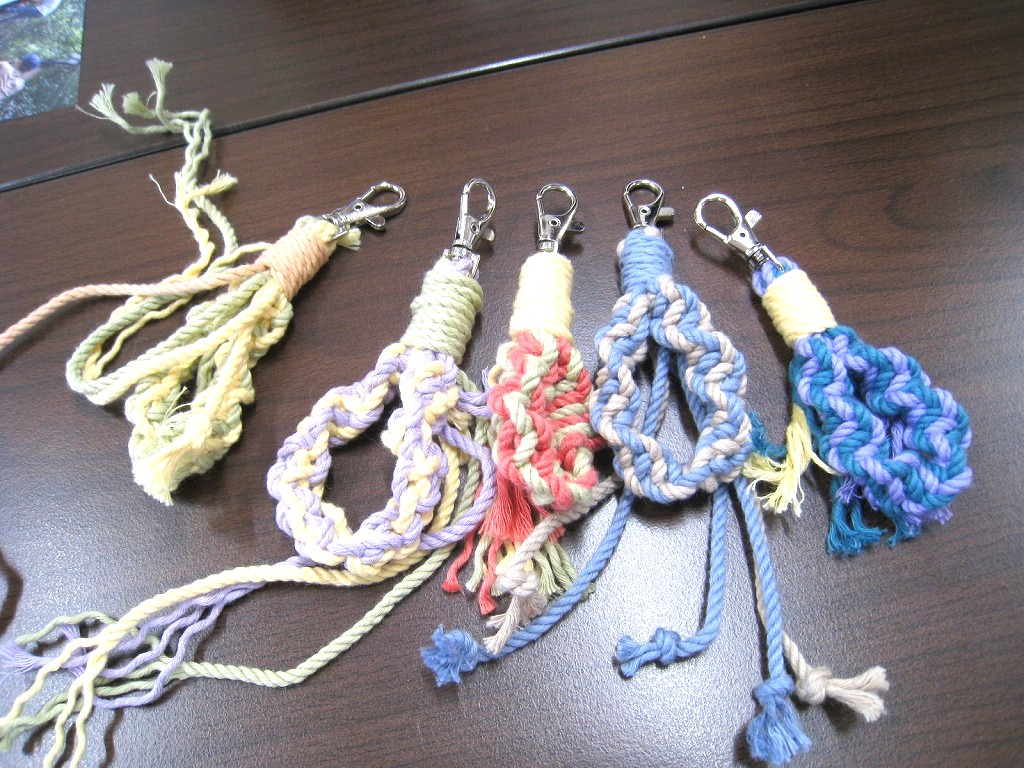 ブラッシュアップライフA