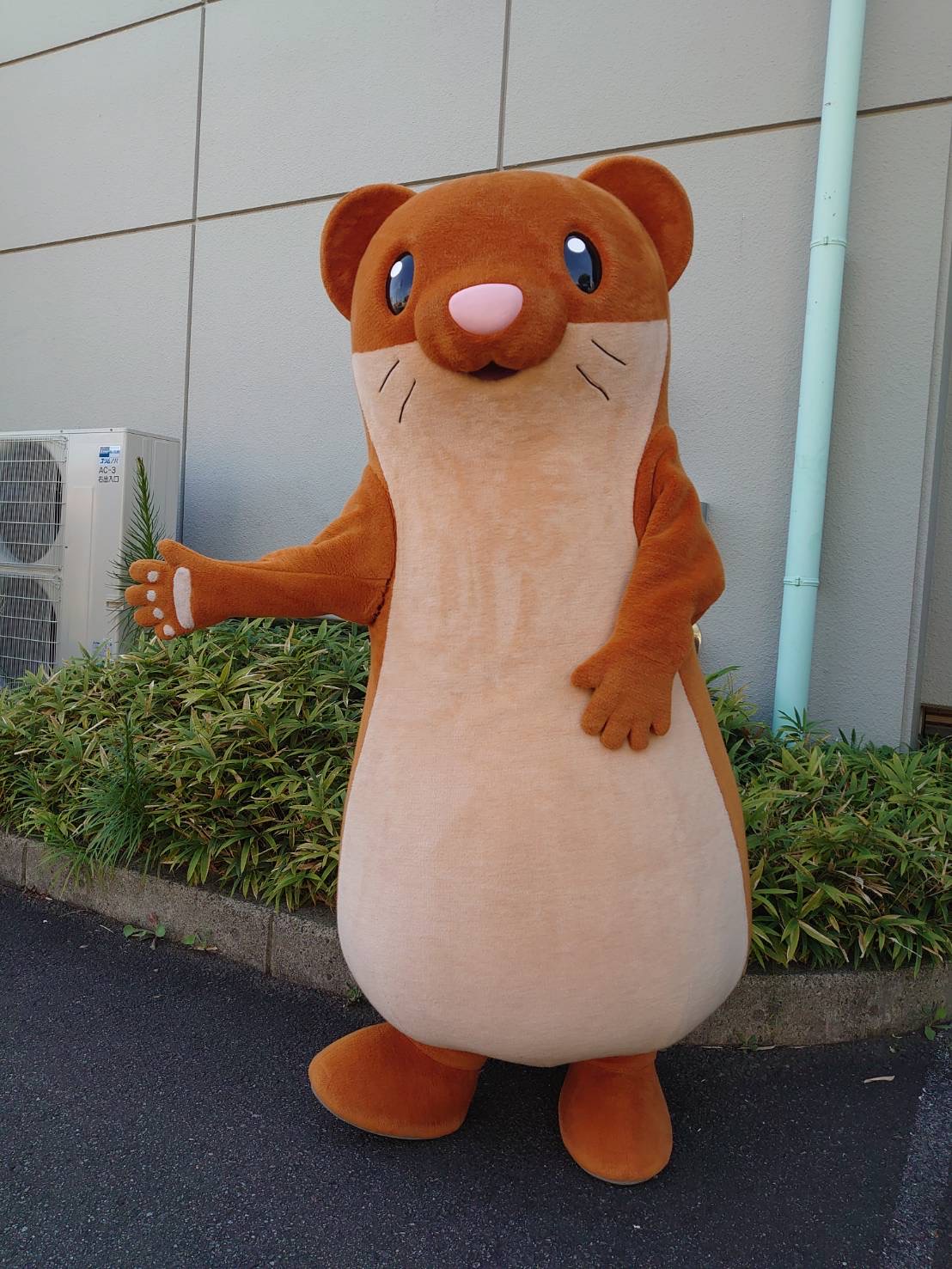 地区センターまつり 地区センターまつり