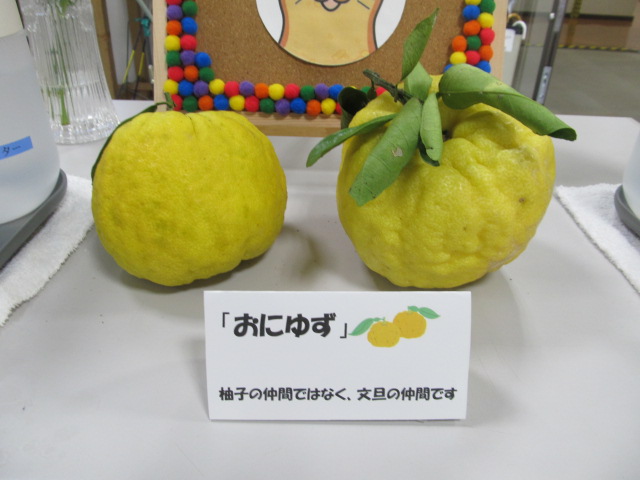 鬼柚 鬼柚