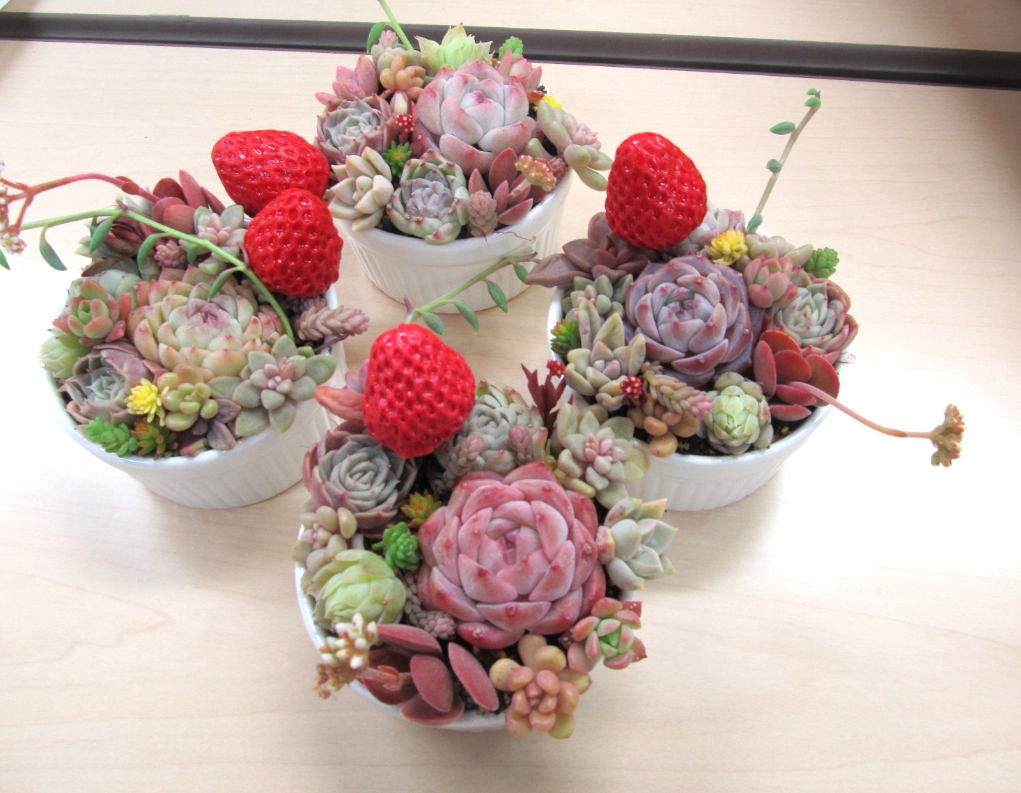 �����񂹐A����i